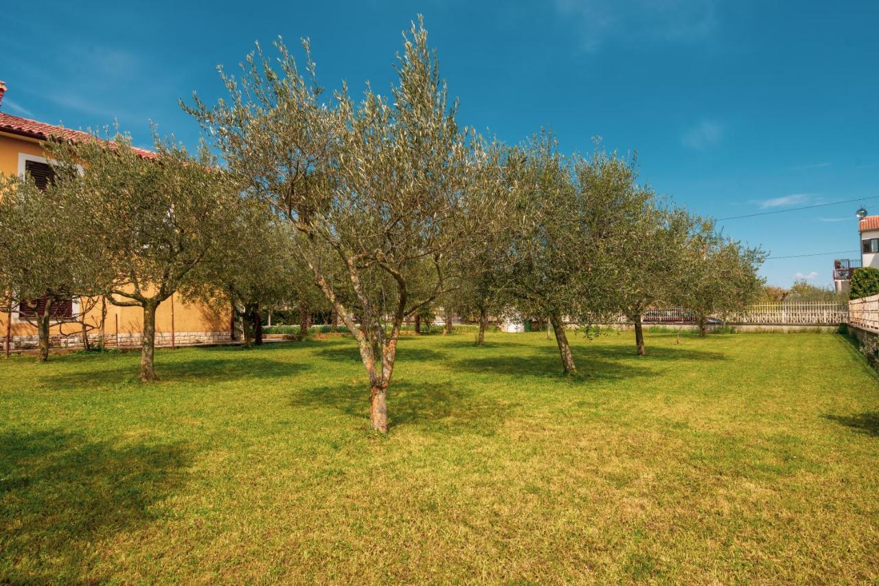Apartment Villa Olga Poreč Buitenkant foto